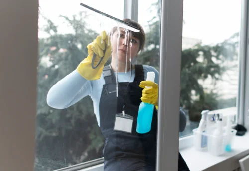 Nettoyage de vitres intérieures et extérieures à Saint-Germain-sur-Vienne